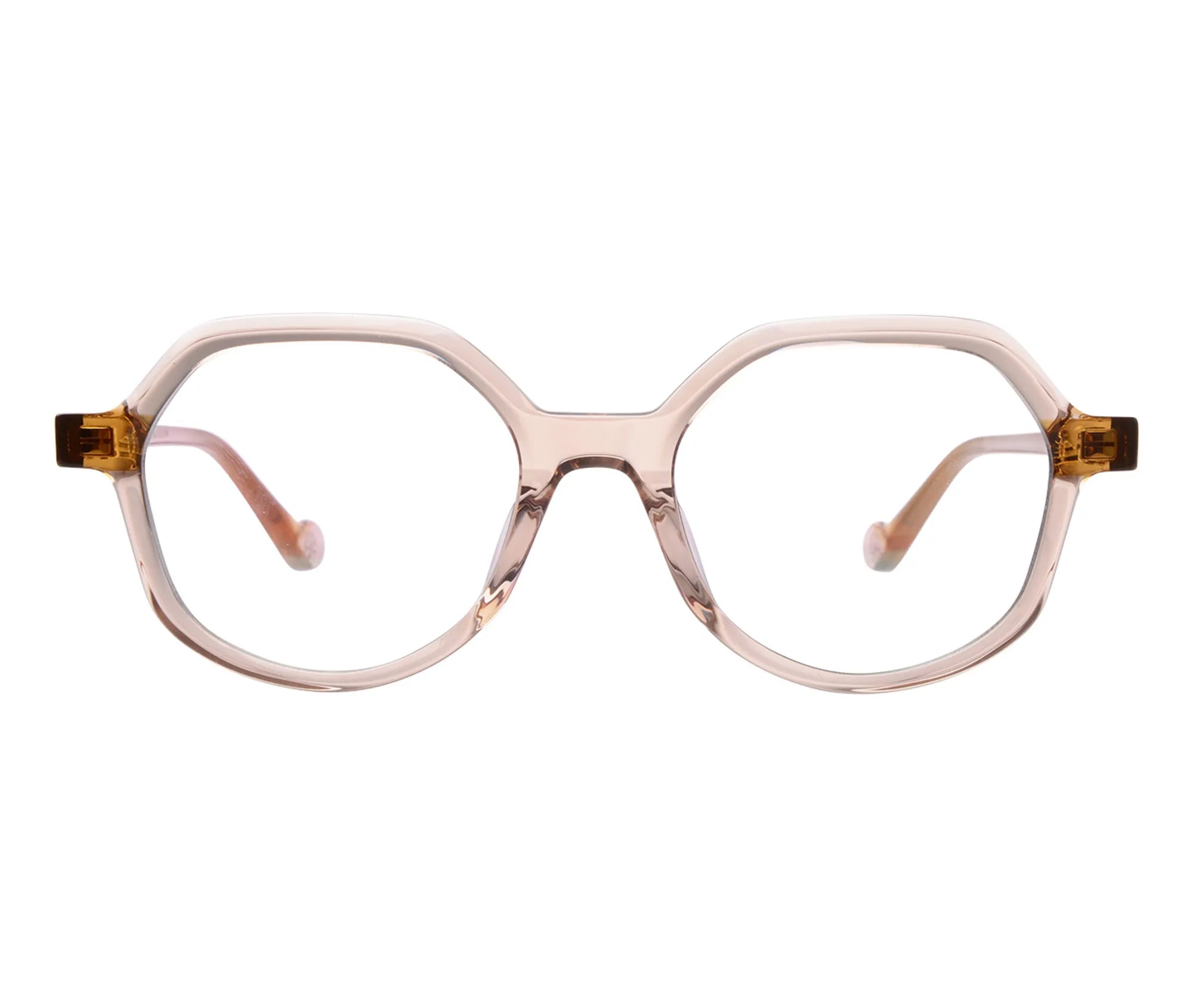 Camellia c1 front copy