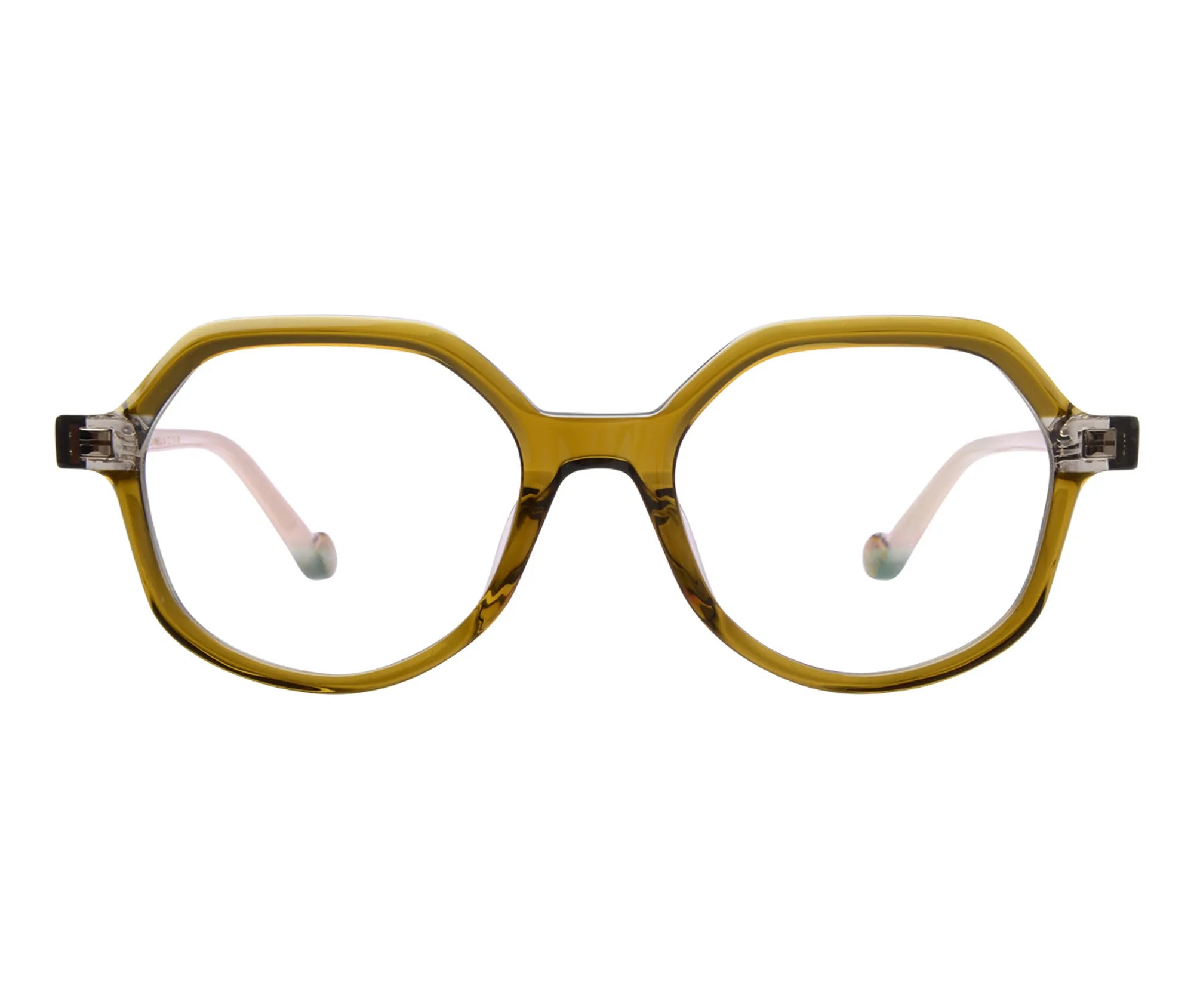 Camellia c2 front copy