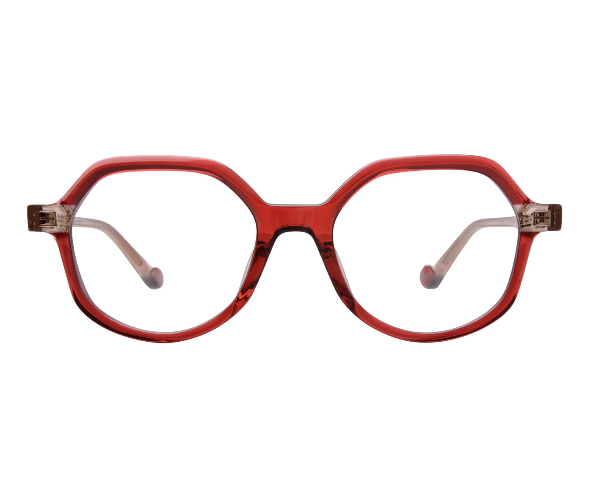 Camellia c3 front copy