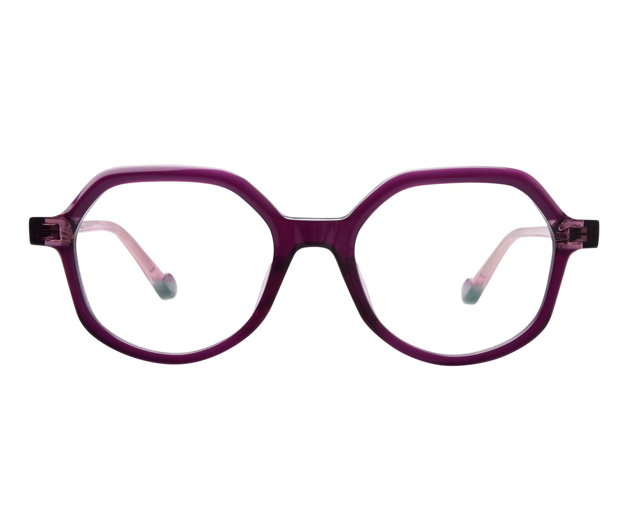 Camellia c4 front copy