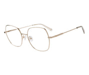 Lejonet c3 sida copy