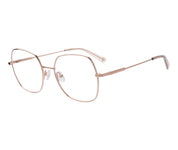 Lejonet c4 sida copy