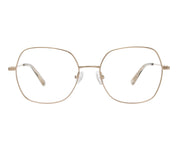 Lejonet c3 front copy