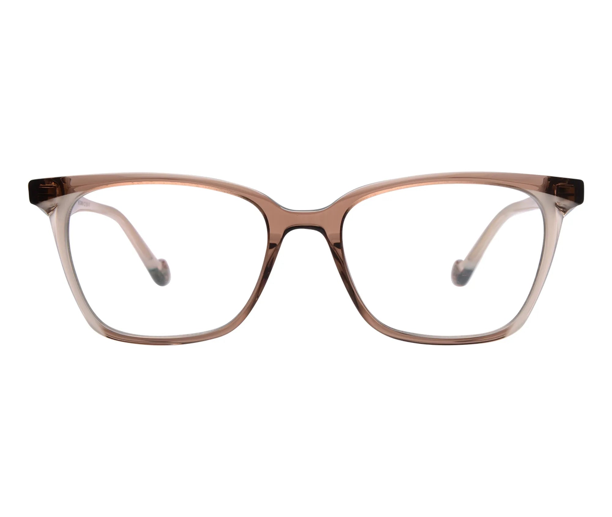 Petunia c2 front copy