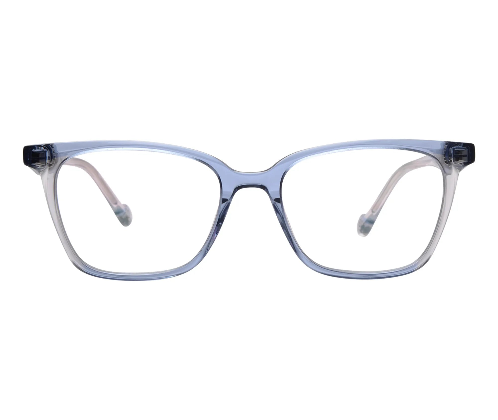 Petunia c4 front copy