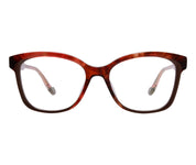 Sunflower c2 front copy