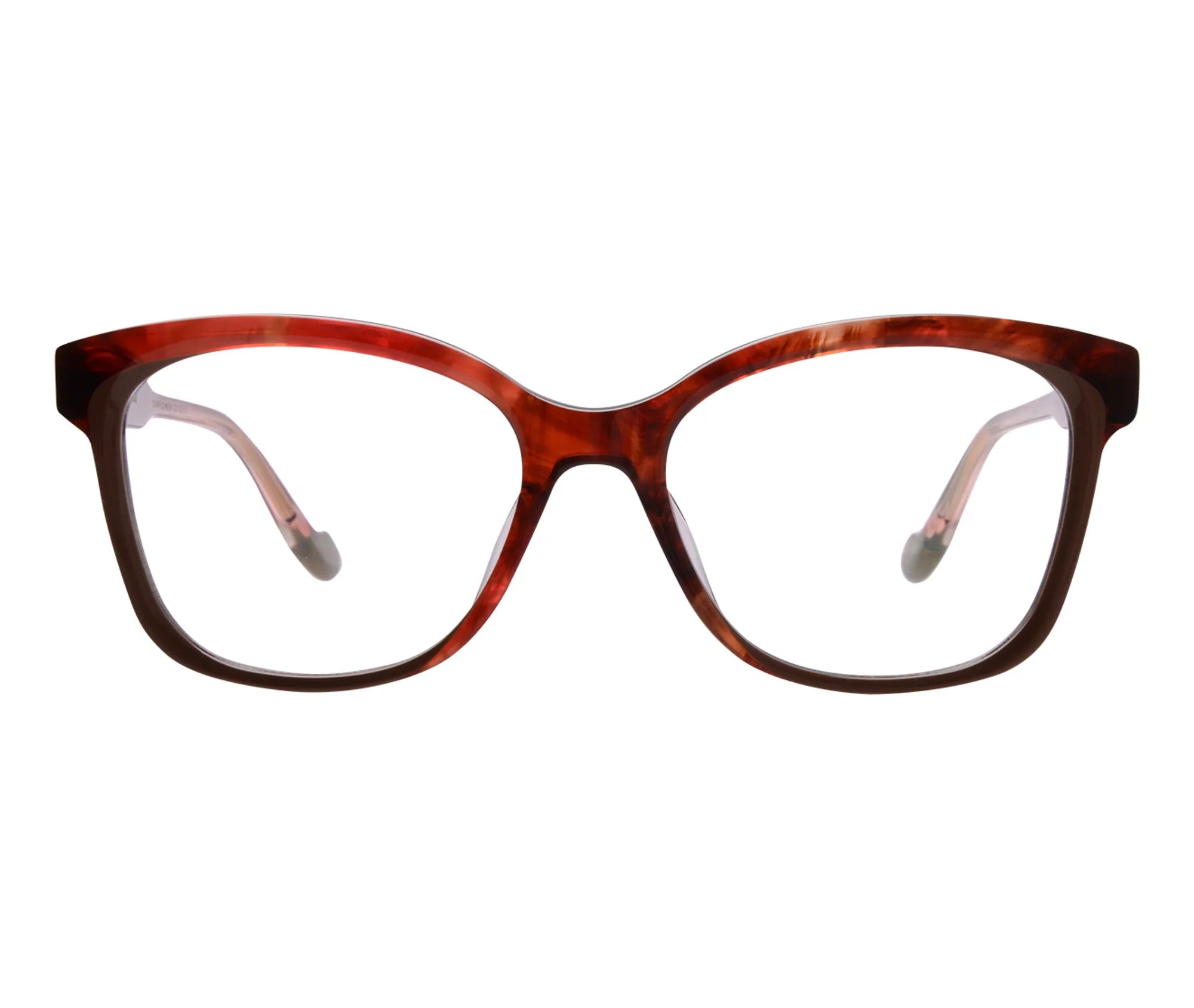 Sunflower c2 front copy