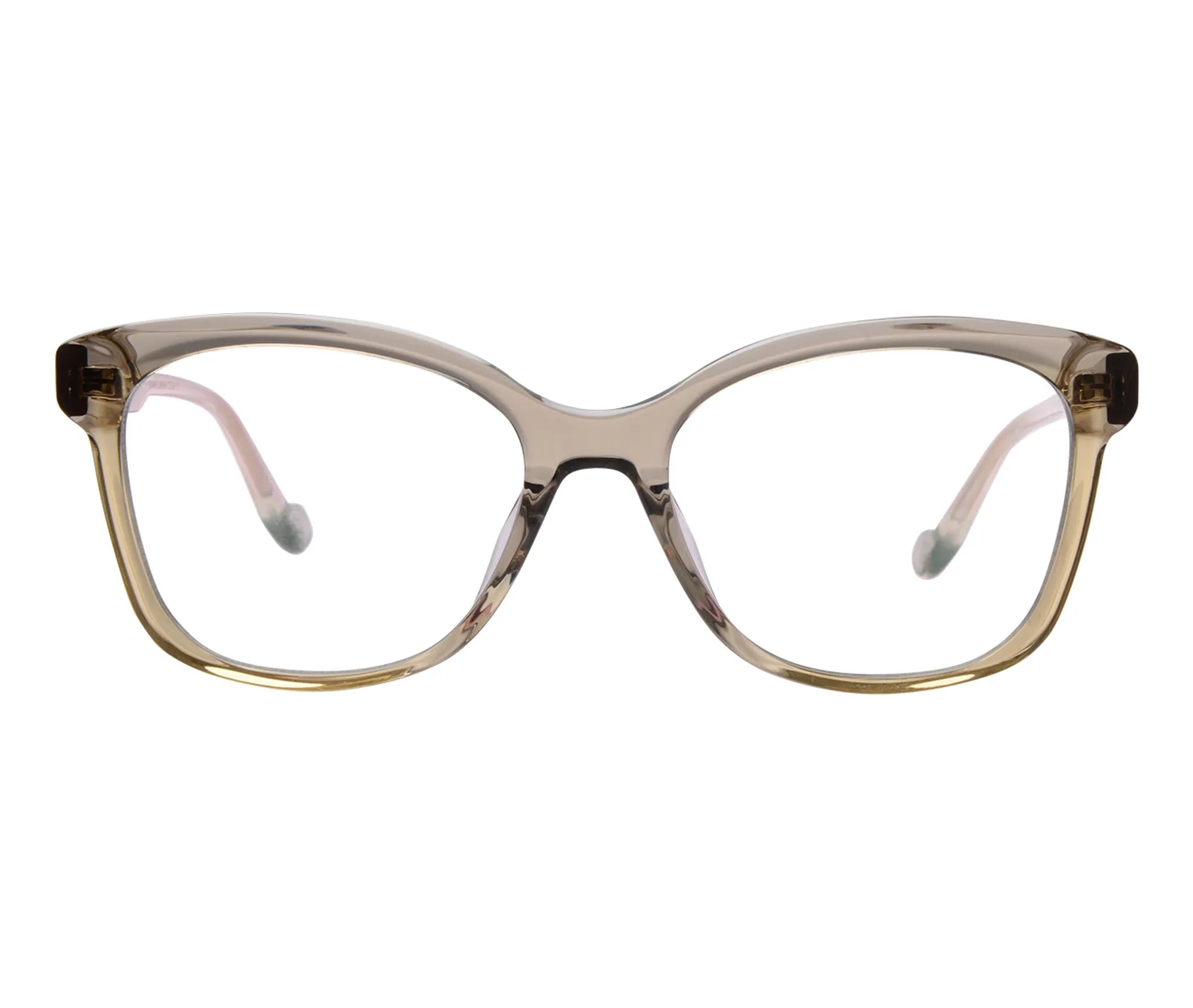 Sunflower c3 front copy