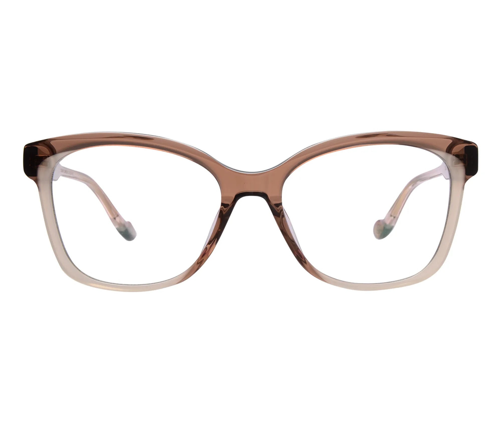 Sunflower c4 front copy