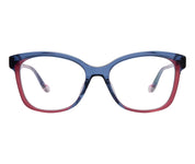 Sunflower c1 front copy