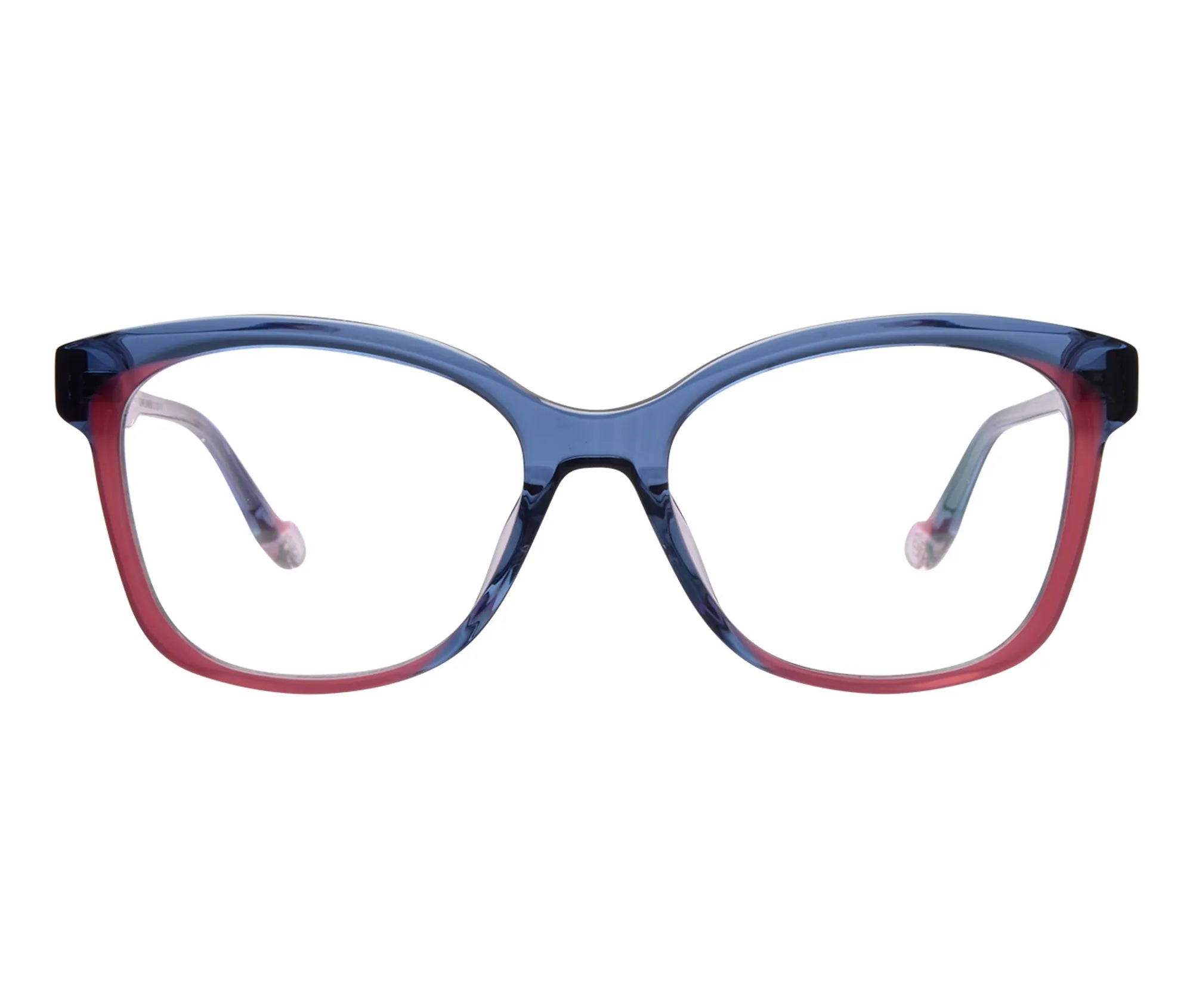 Sunflower c1 front copy